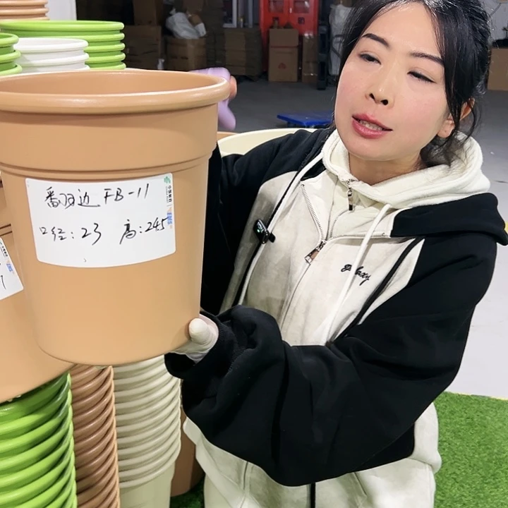 正品翻边口23高25混色5只无托