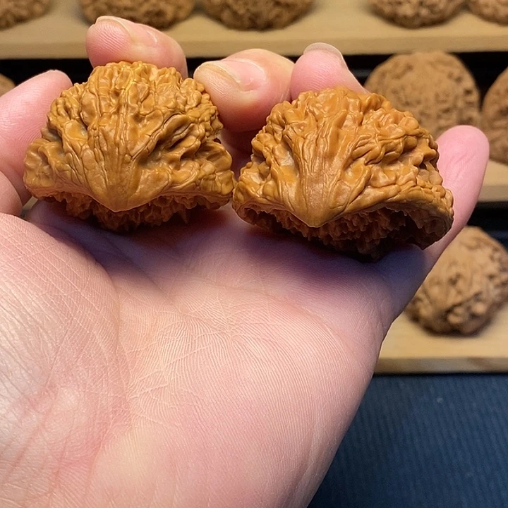 核桃43蛇头福利核桃