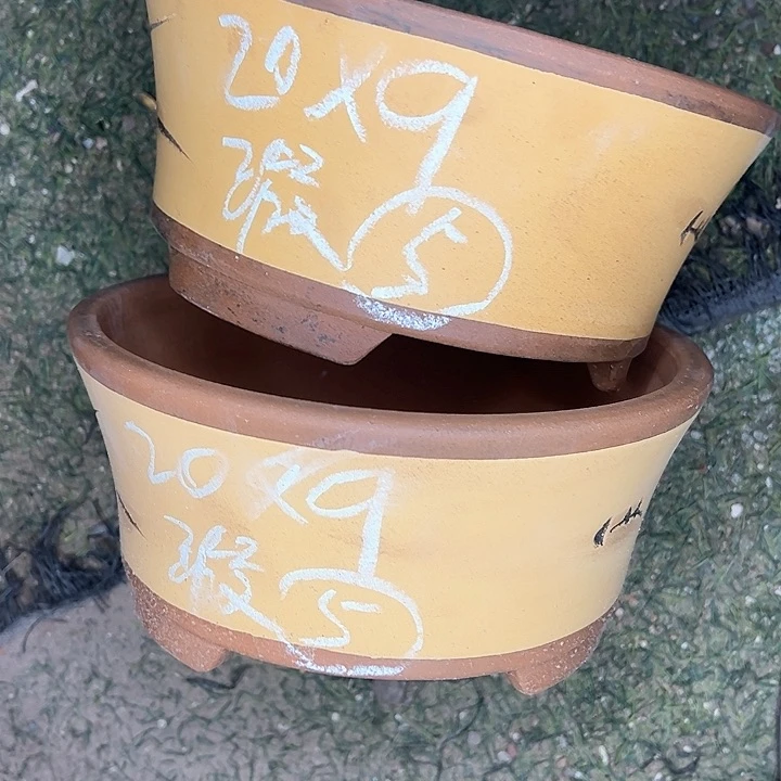 红陶强*紫砂艺术学院