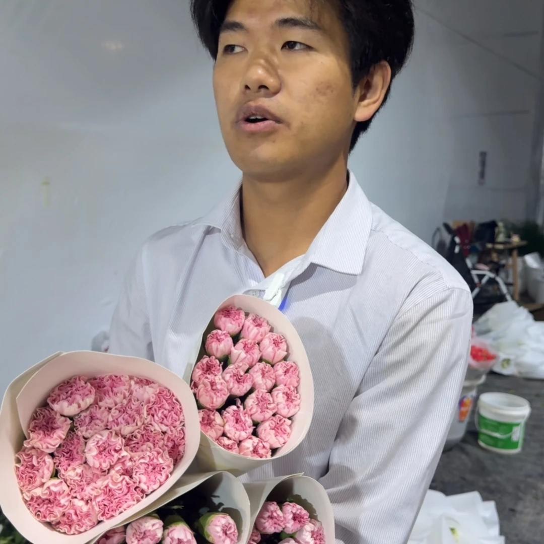 粉佳人4扎包邮价秒杀
