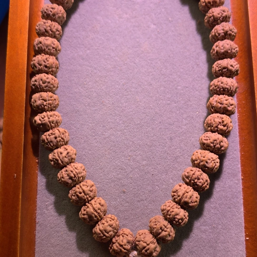 黄***尧金刚菩提手串老树王精挑