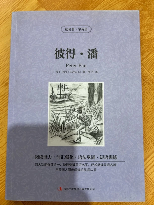 瑕疵书彼特·潘书籍