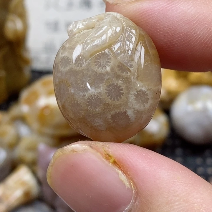颈饰未镶嵌硅化珊瑚（珊瑚玉）小