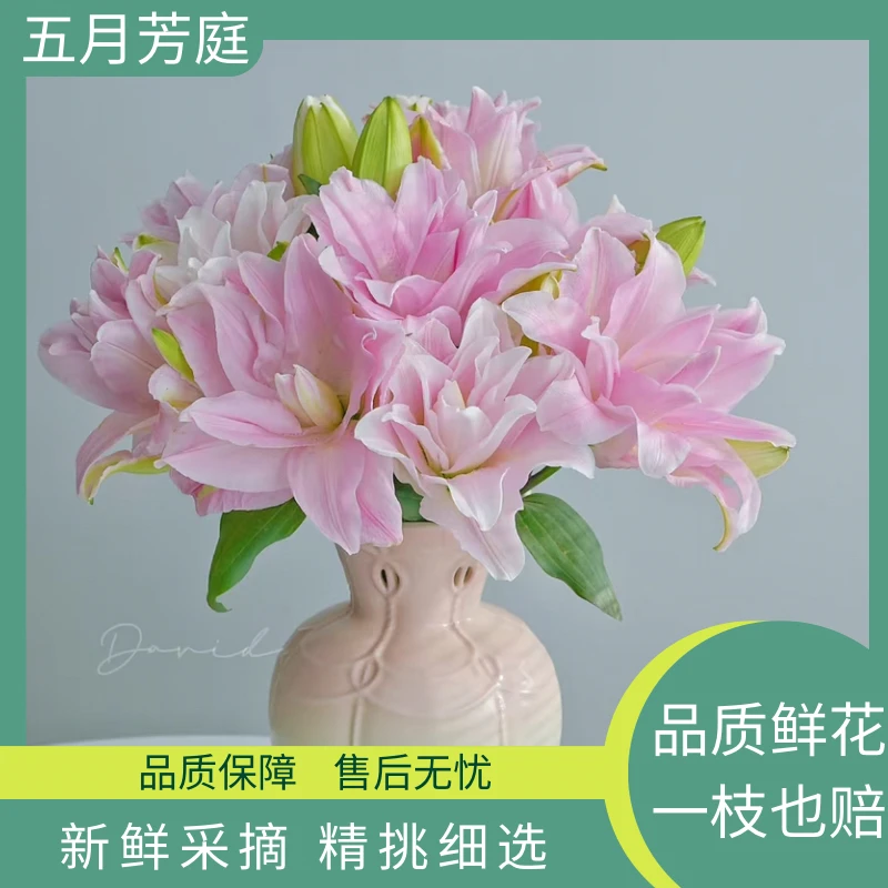 多头【贵妃/伊蒂莎】中度香味重瓣百合独特蜂蜜柚子皮香味上海