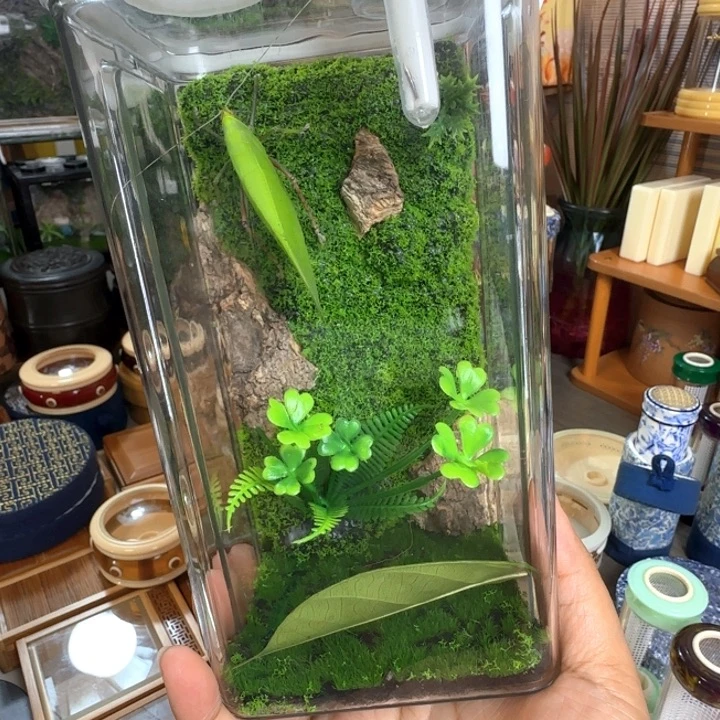 素背套啊啊啊啊啊