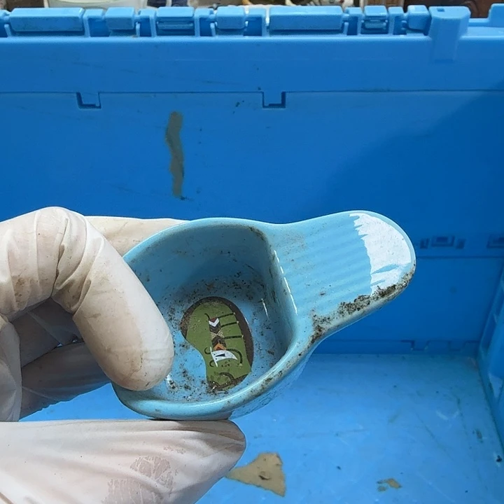 瓷片一***芬开播啦…开播啦