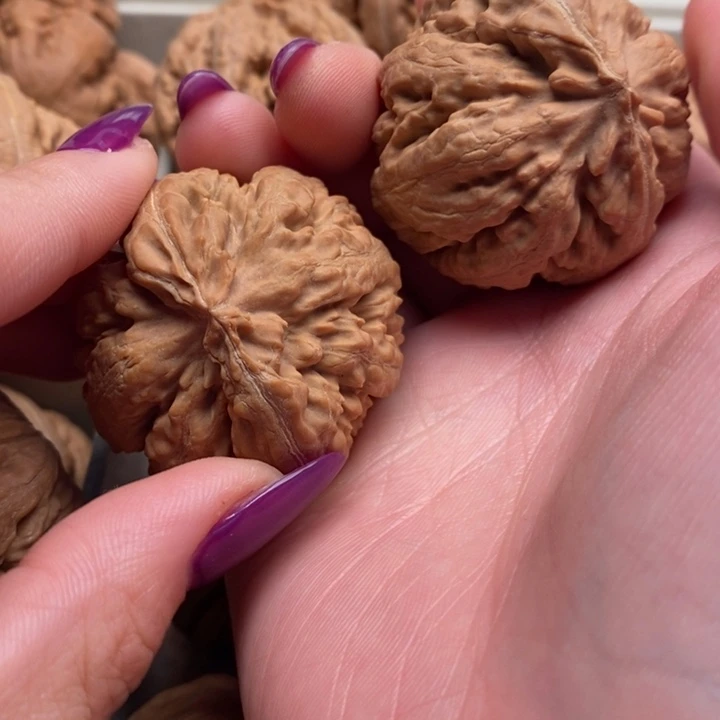 醋***丶霸王龙全品无修一刀没动