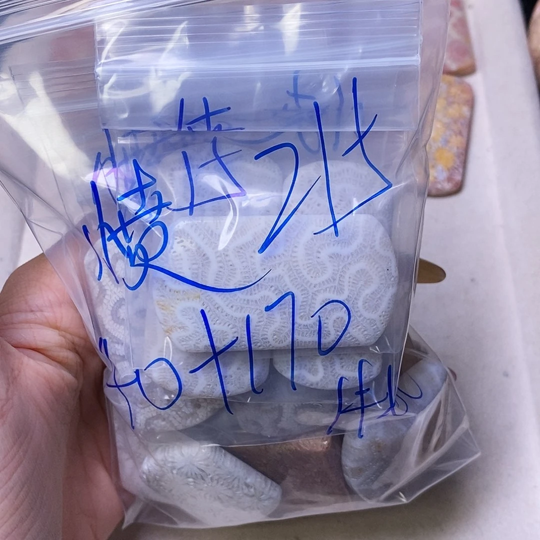查罗石合金颈饰愤***x