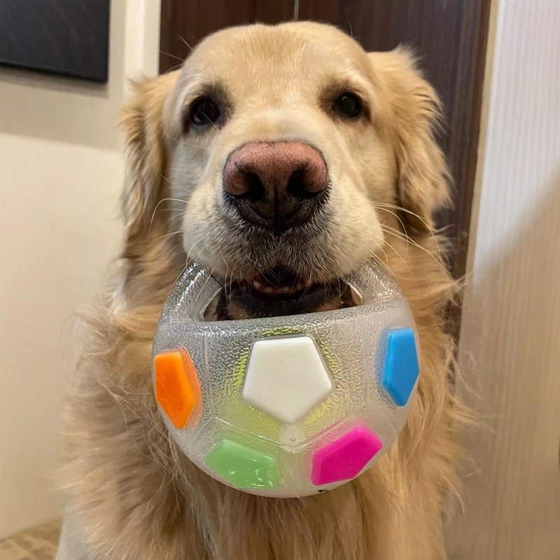 狗狗玩具提手发声足球金毛中大型犬消耗精力自嗨解闷宠物互动陪伴