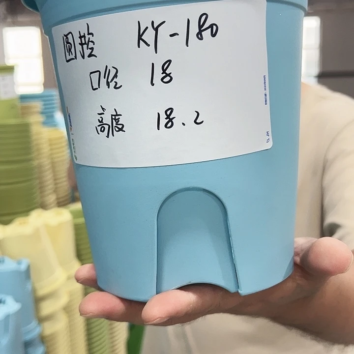特价圆控口18高18混色5个带托