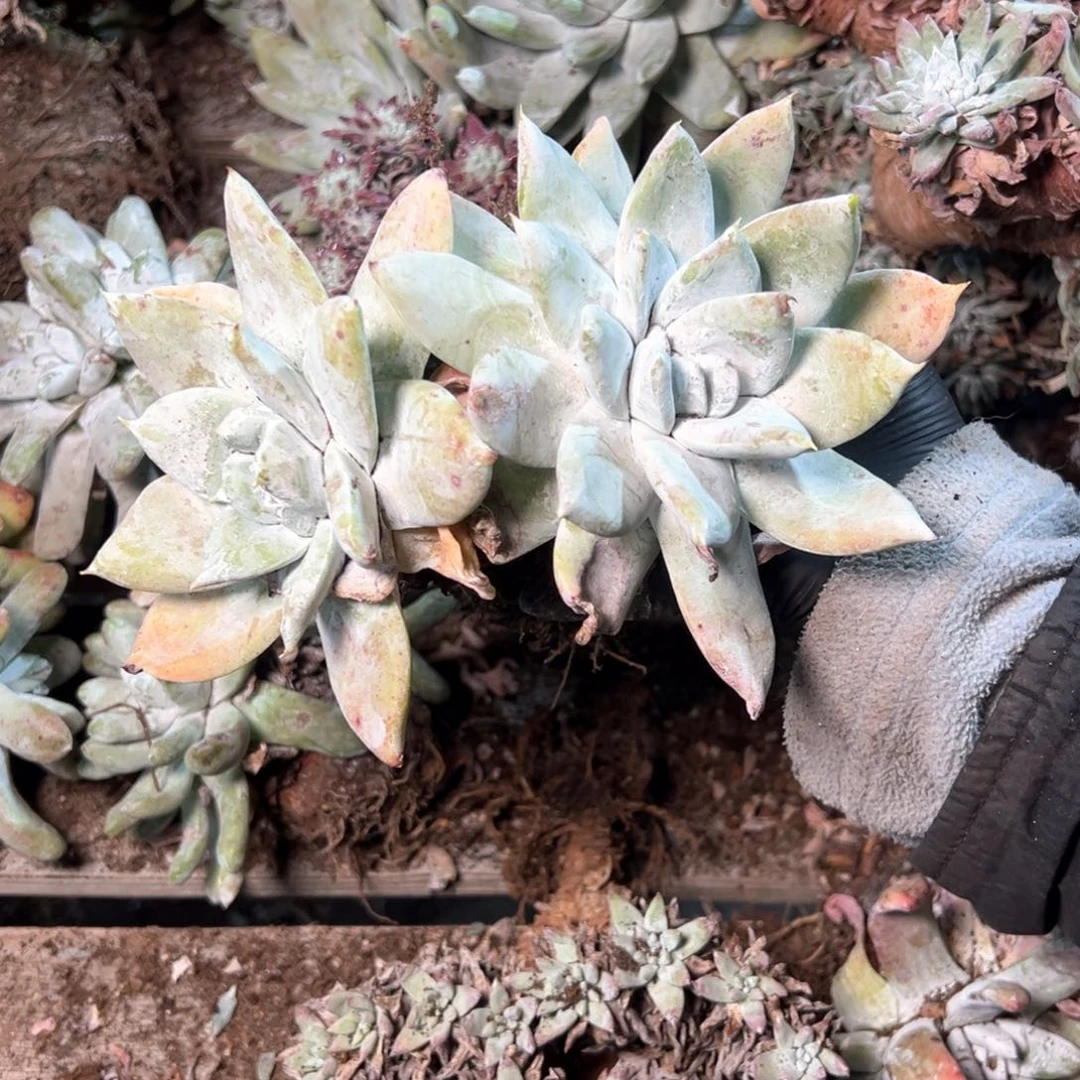 7968哈哈哈哈哈哈哈哈