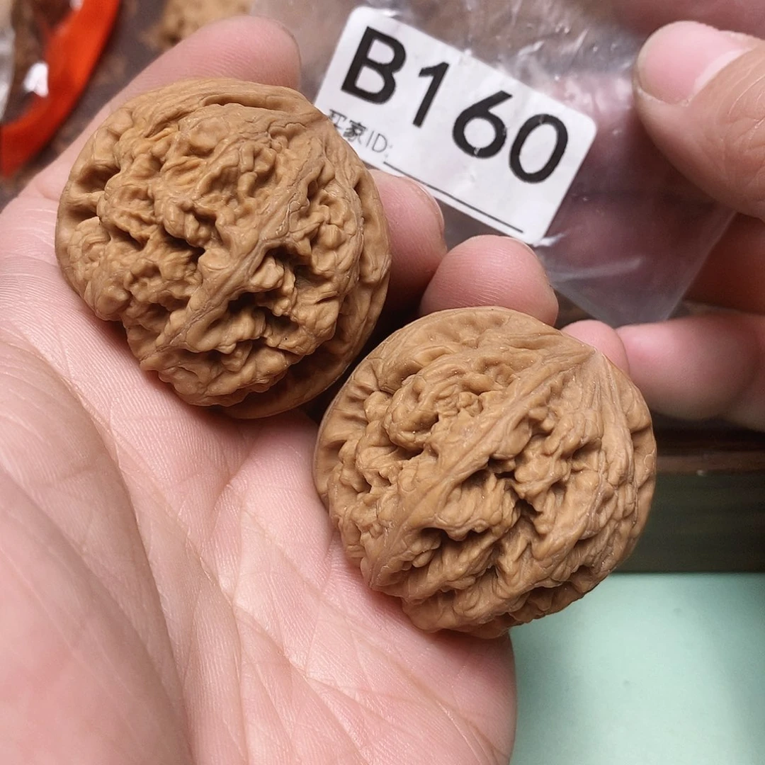 把件文玩核桃粗筋40尺。