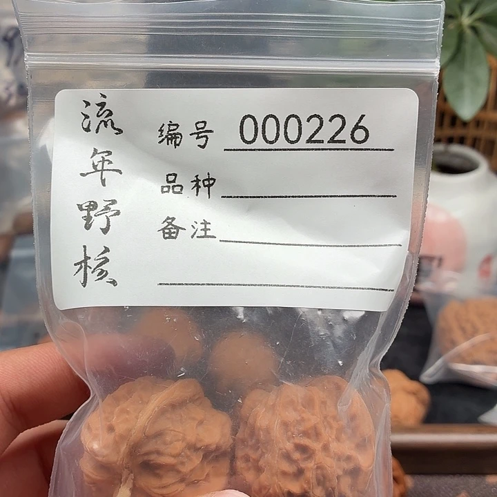 越***好吊坠文玩核桃追龙