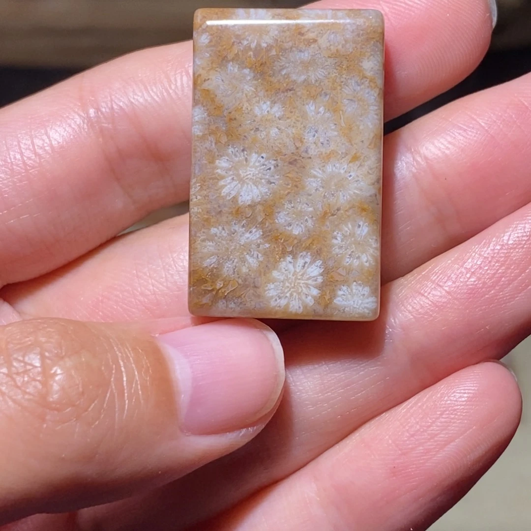 【闪购商品】硅化玉颈饰未镶嵌