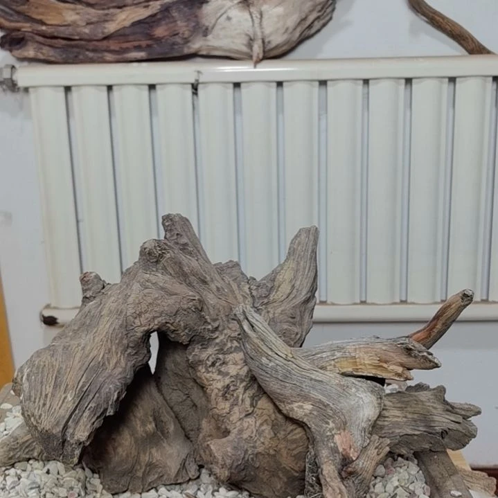 檀香紫檀（小叶紫檀）旺**行
