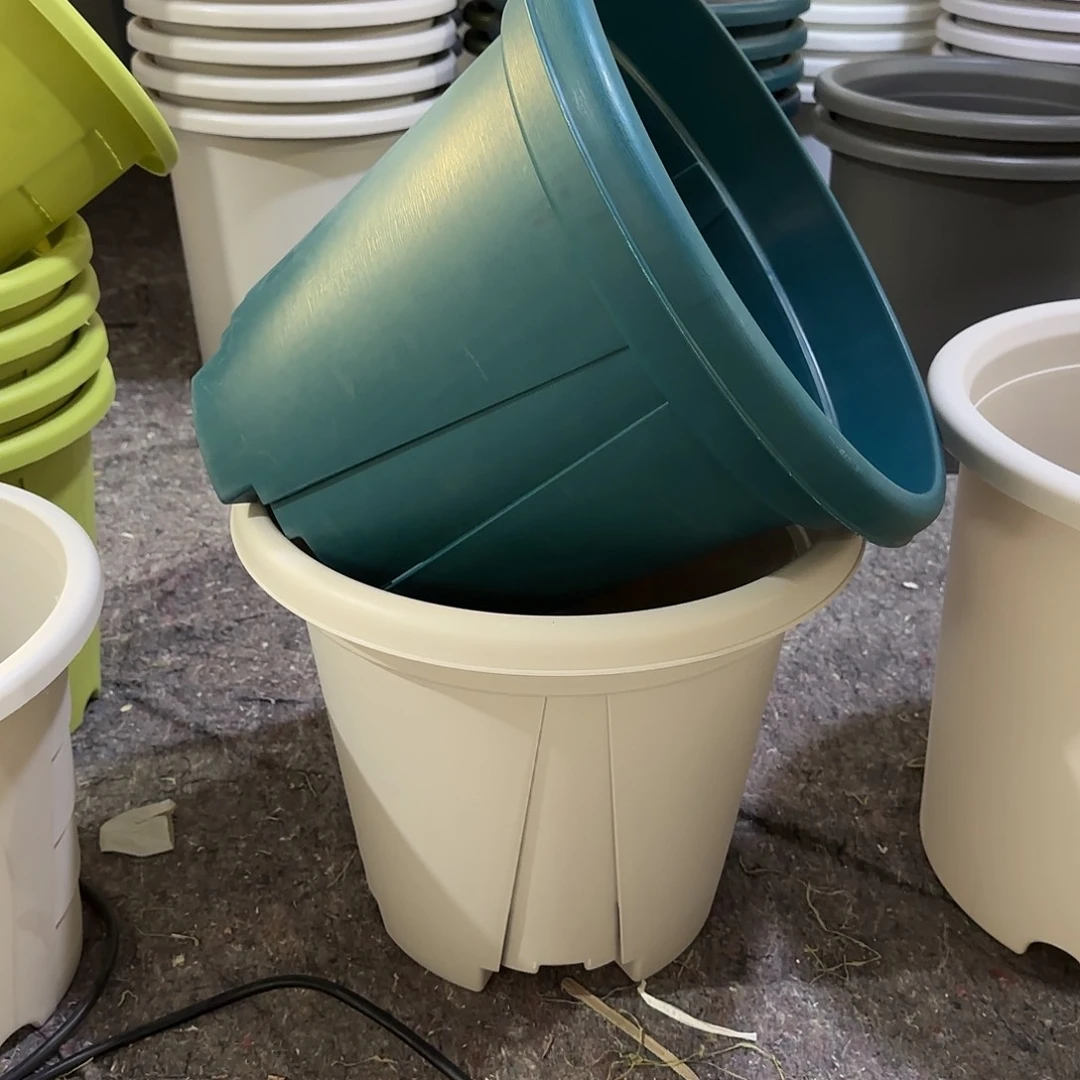 微瑕青山7号5个无托，军绿