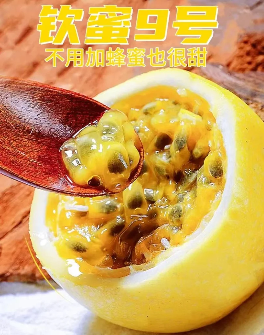 【当季现摘】水果钦蜜9号百香果【产地直发】