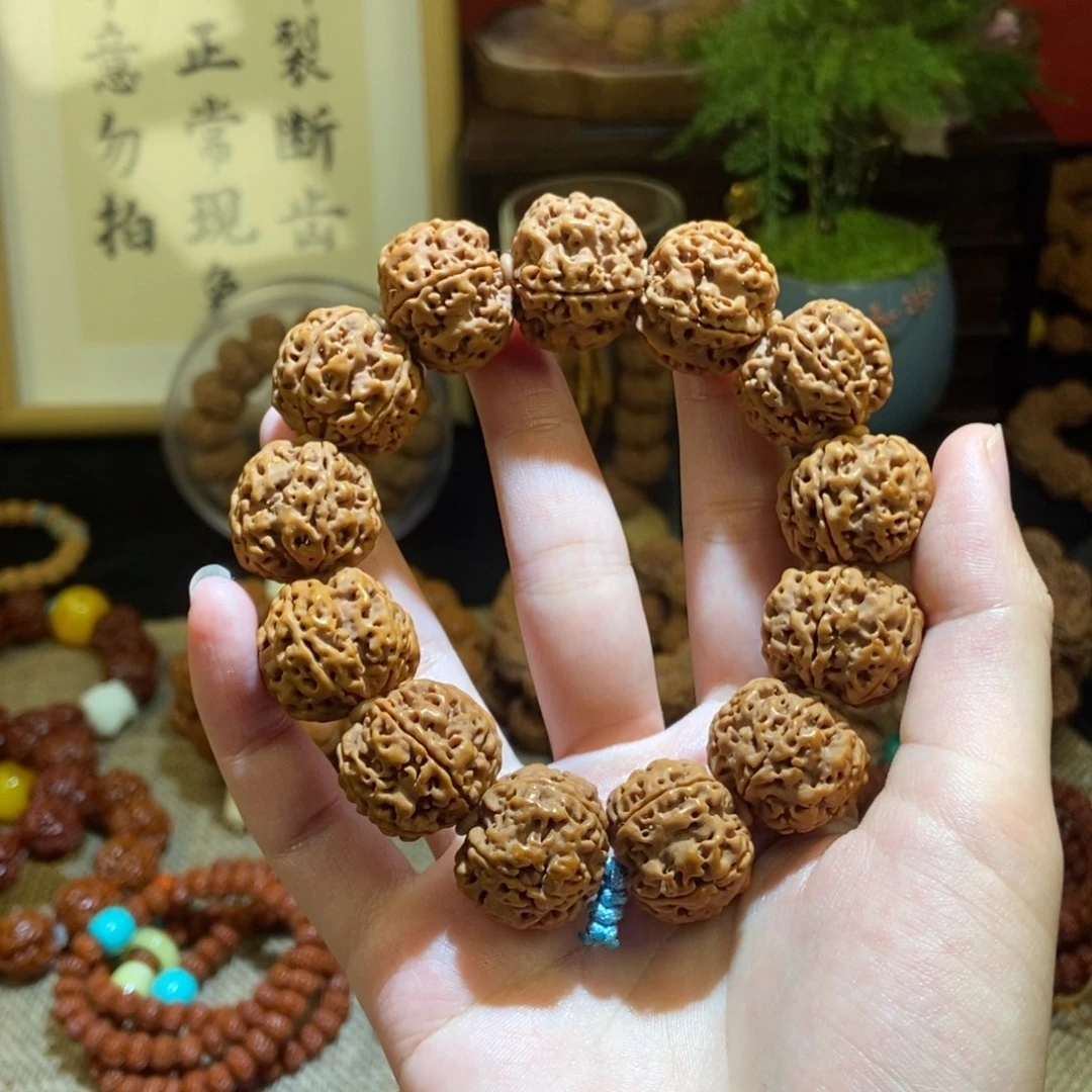 金刚菩提吊坠225原籽