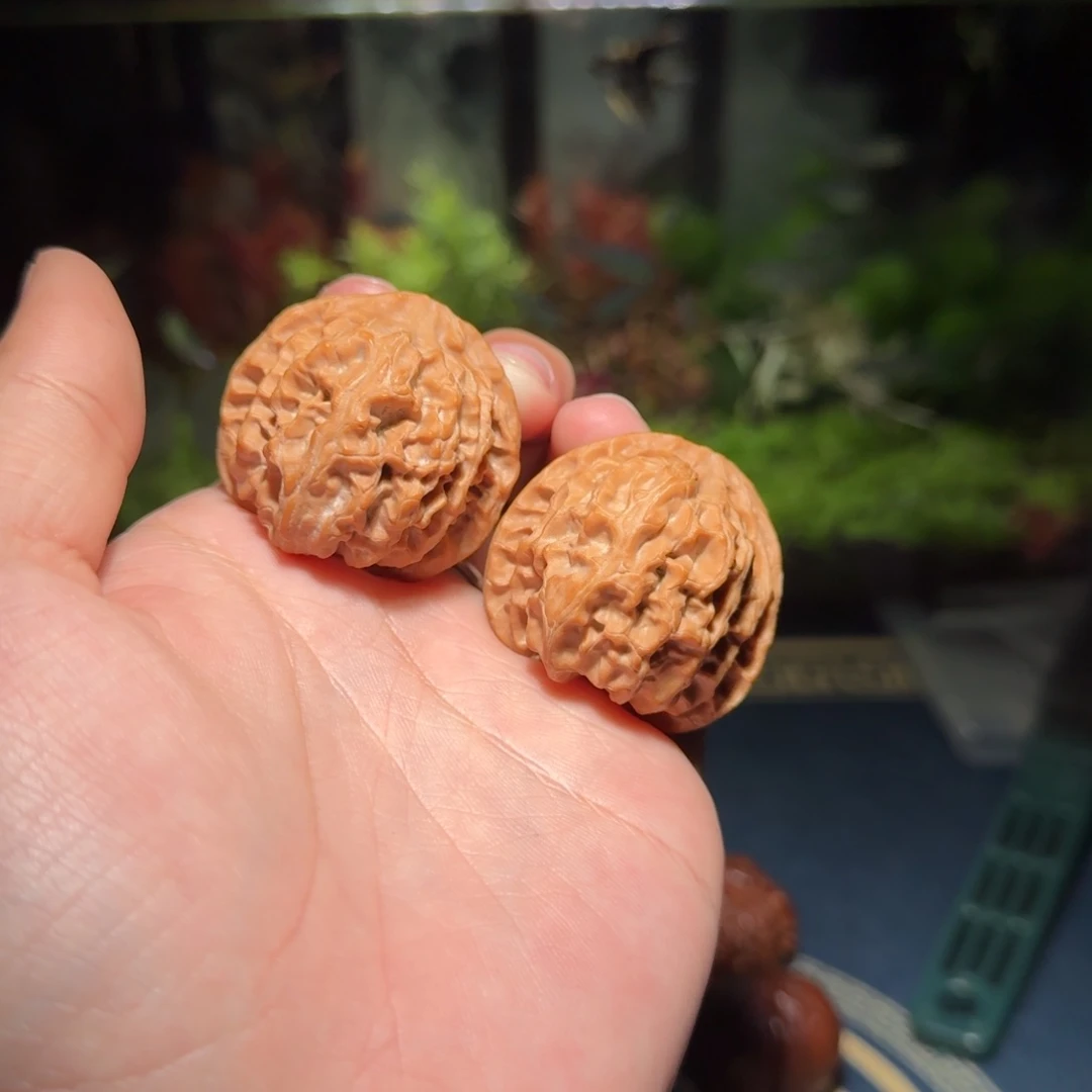 075号39苹果园苹果园苹果园