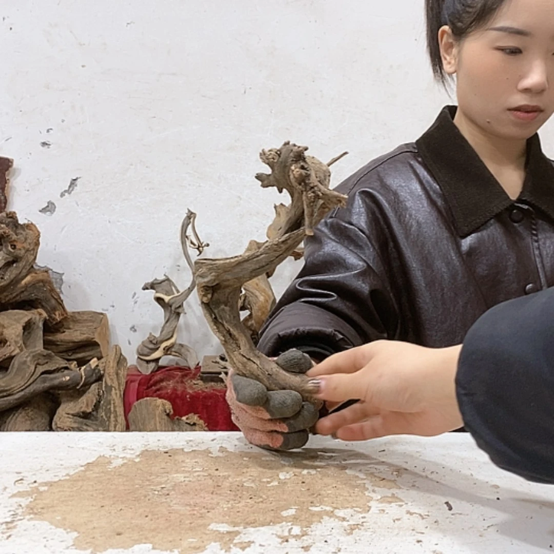 【闪购商品】柏木熊*我们都是好孩子