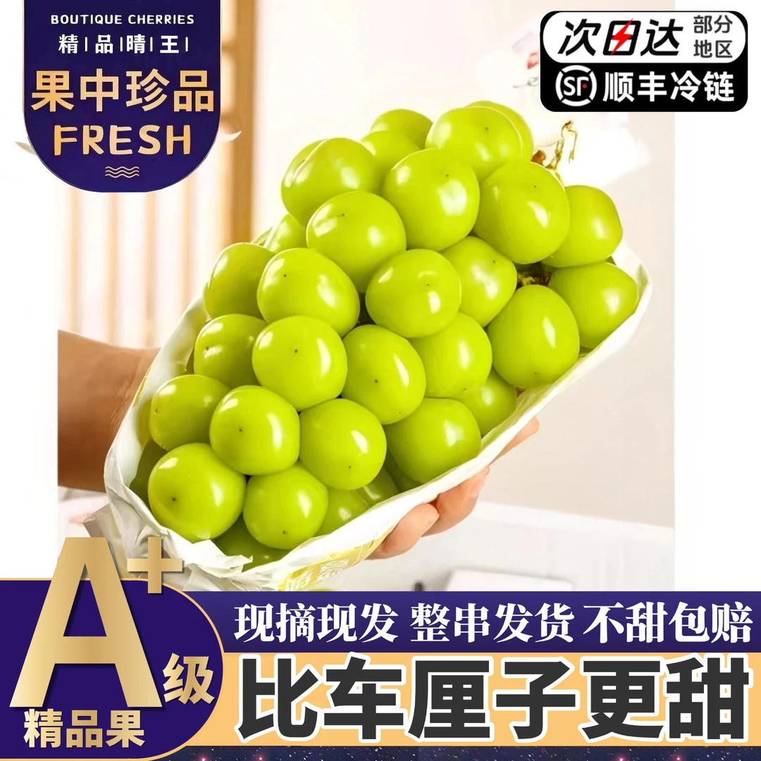 顺丰次日达5斤大果整箱精品阳光玫瑰葡萄当季新鲜现摘现发3/5斤Q