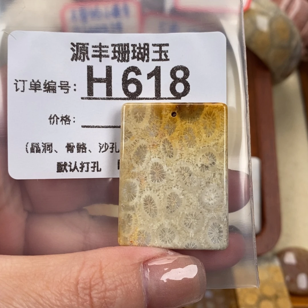 硅化玉颈饰未镶嵌小*说