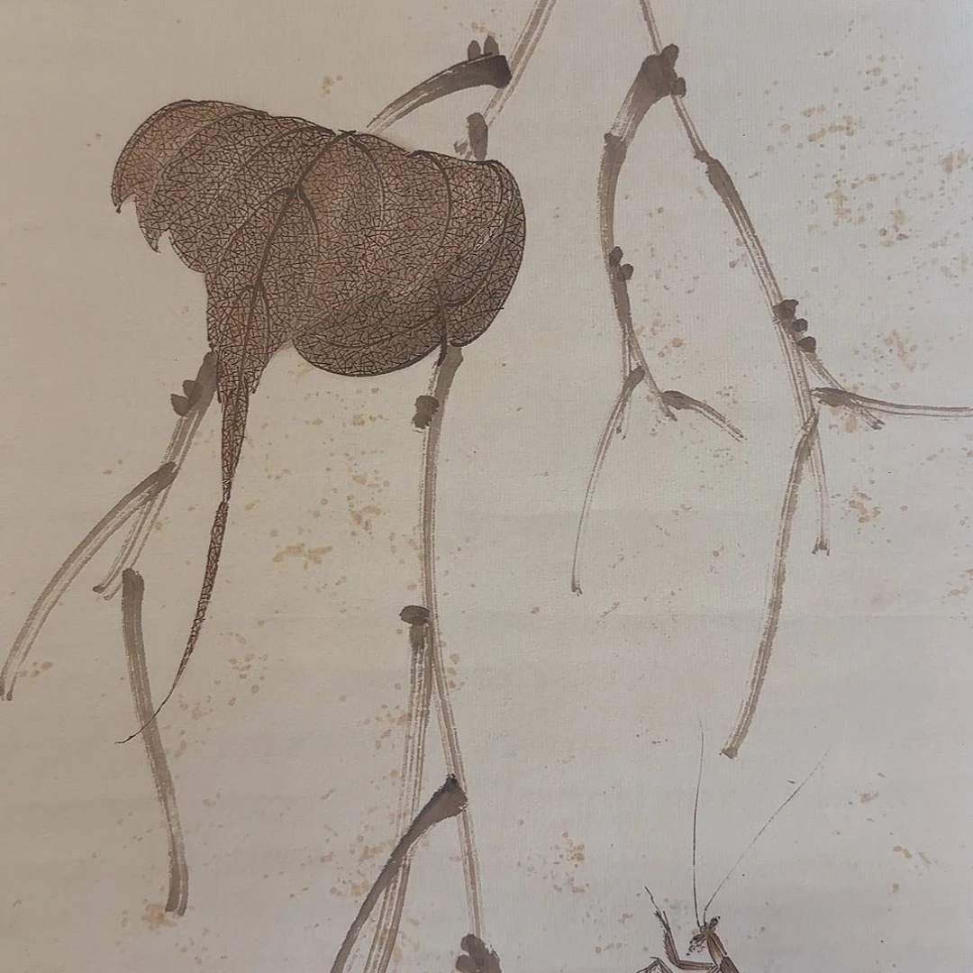 右***翁小张专拍专用链接