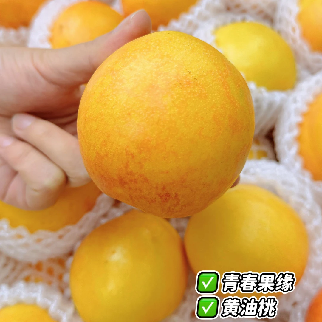【宠粉活动福利】黄油桃4斤/份山东省