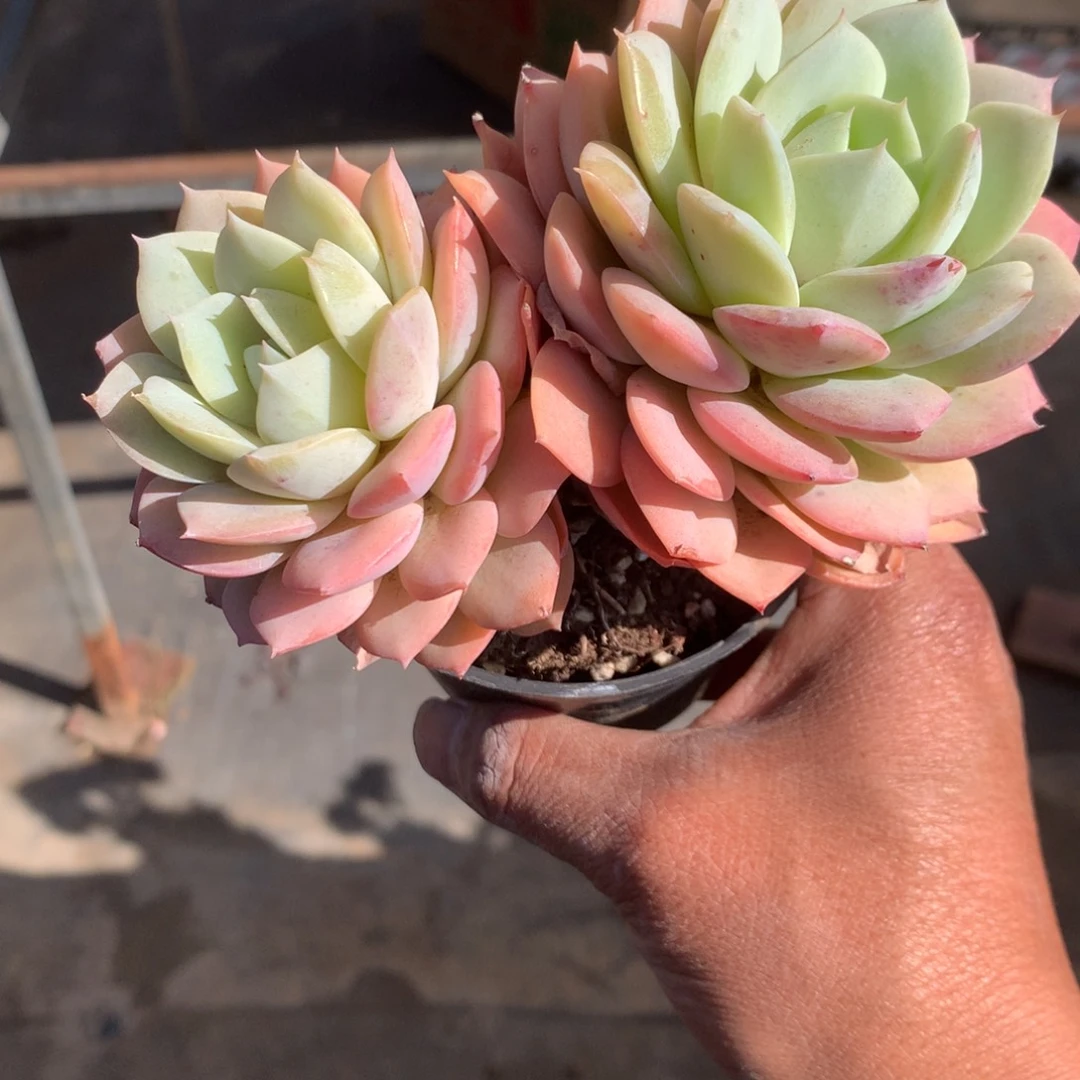 清楚明白你自己在哪吗