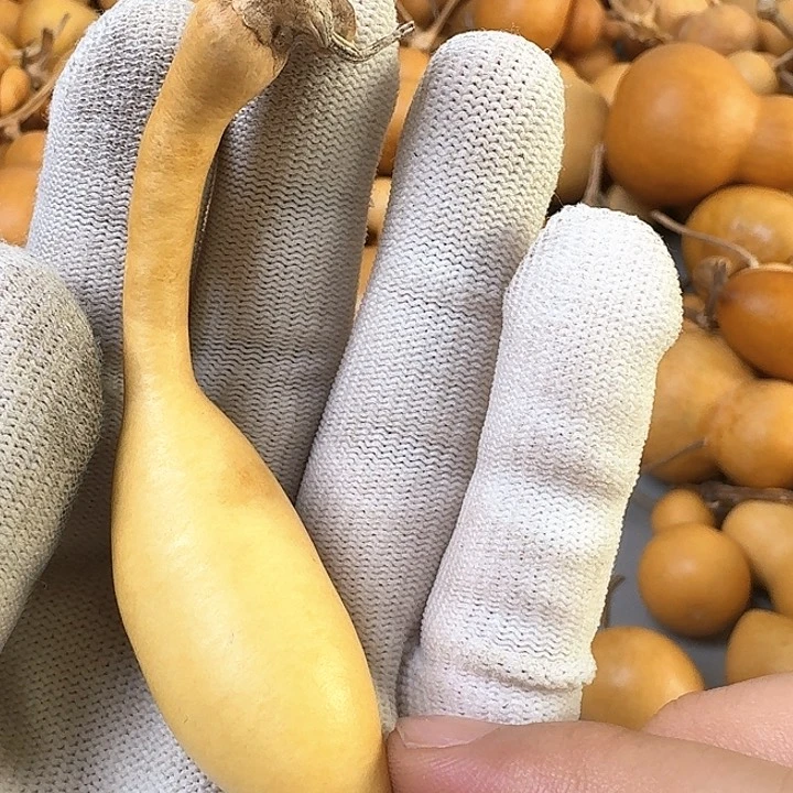 木质非金属688000