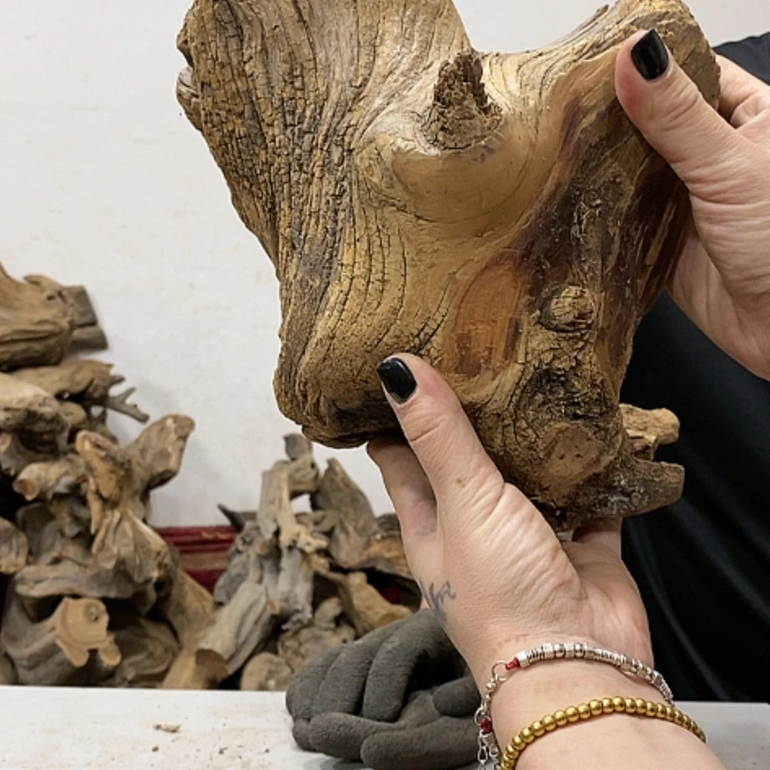 【闪购商品】柏木元*我们都是好孩子