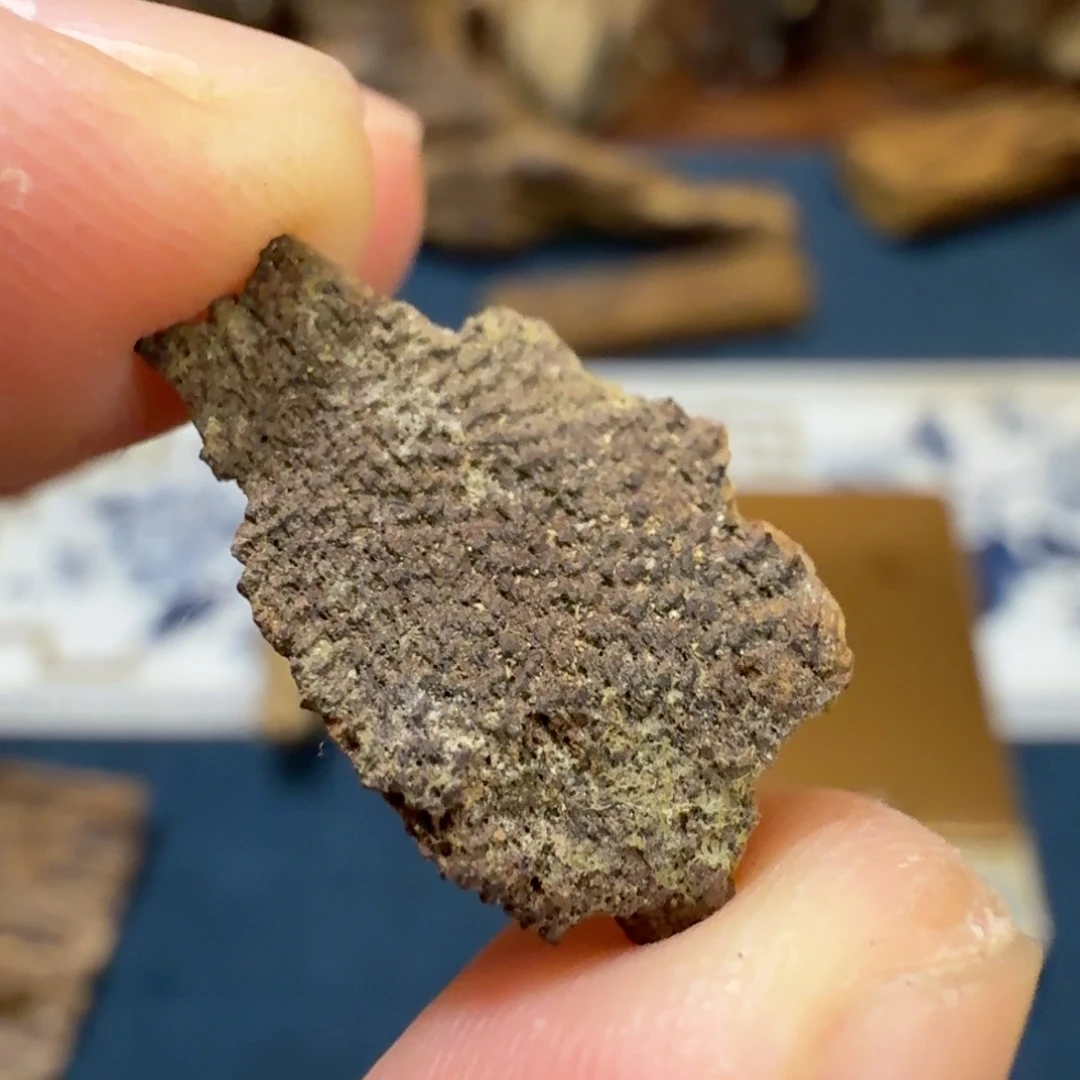 沉香香港鸡母虫漏