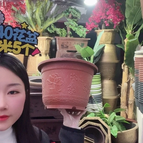 复合梅花30盆10个有孔