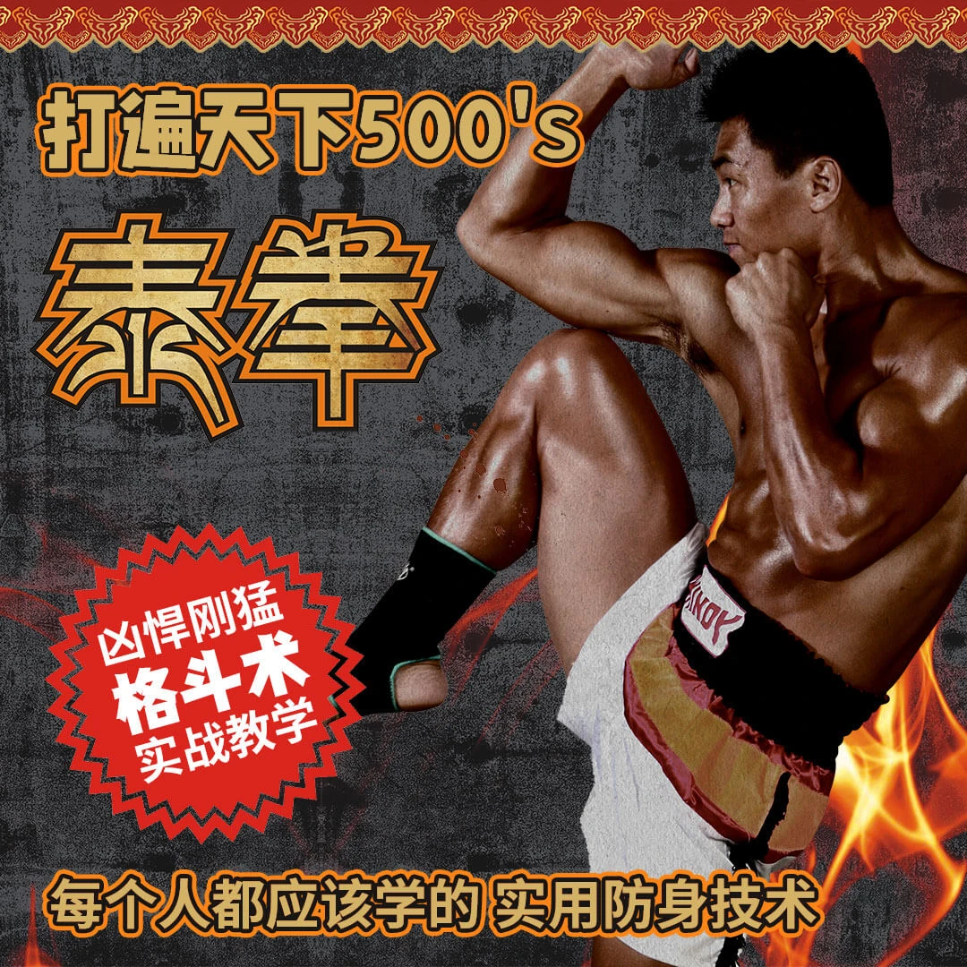泰拳零基础新手初学入门到实战技巧名师教学视频课（非实物）