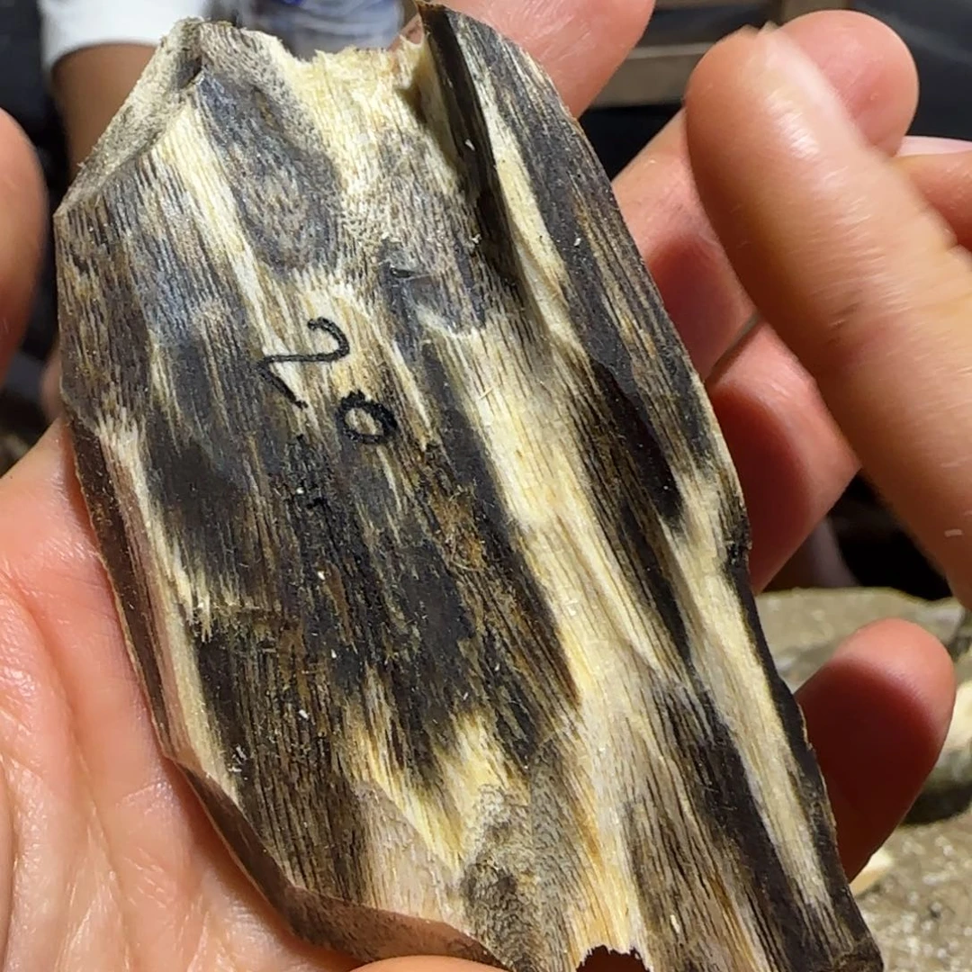 沉香沉香碎屑20号奇楠沉香原木一个墨香