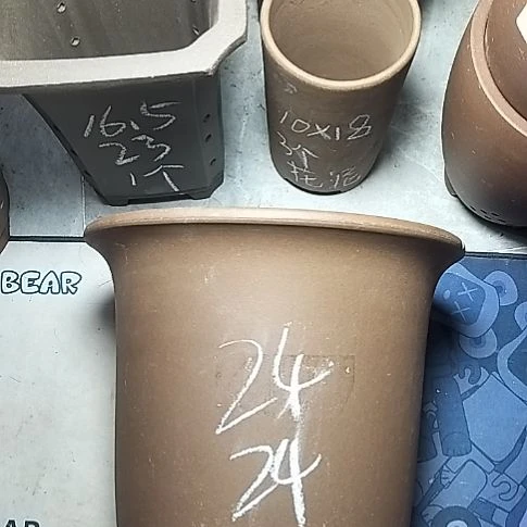 特大金钟一个花盆