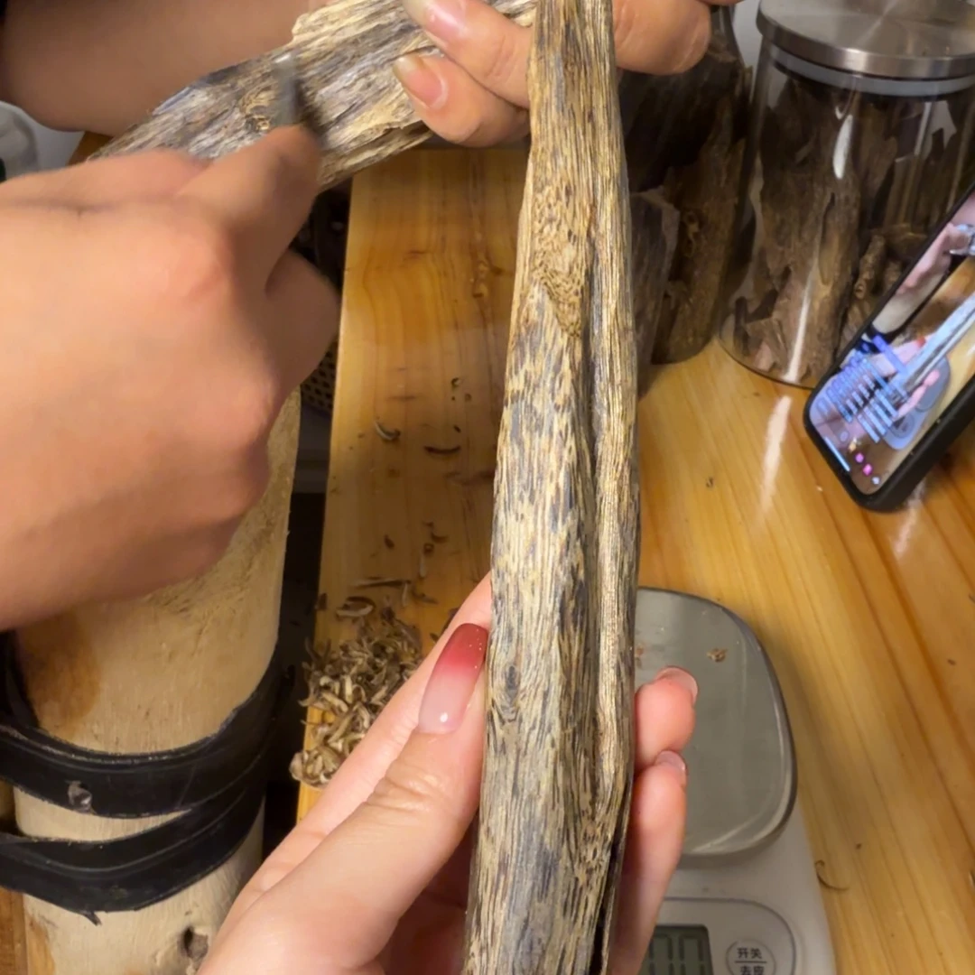 沉香白奇虫漏香25克
