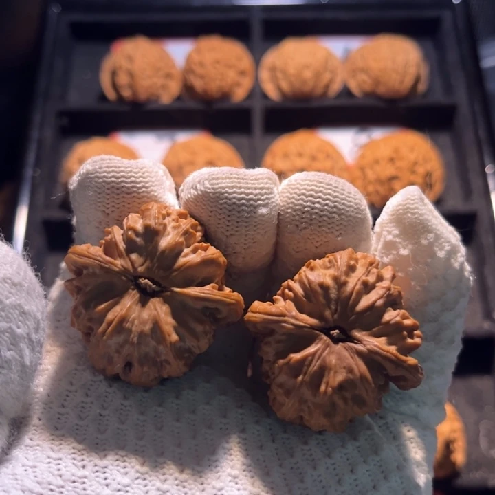 成***人桃核吊坠06秦皇岛山地果全品