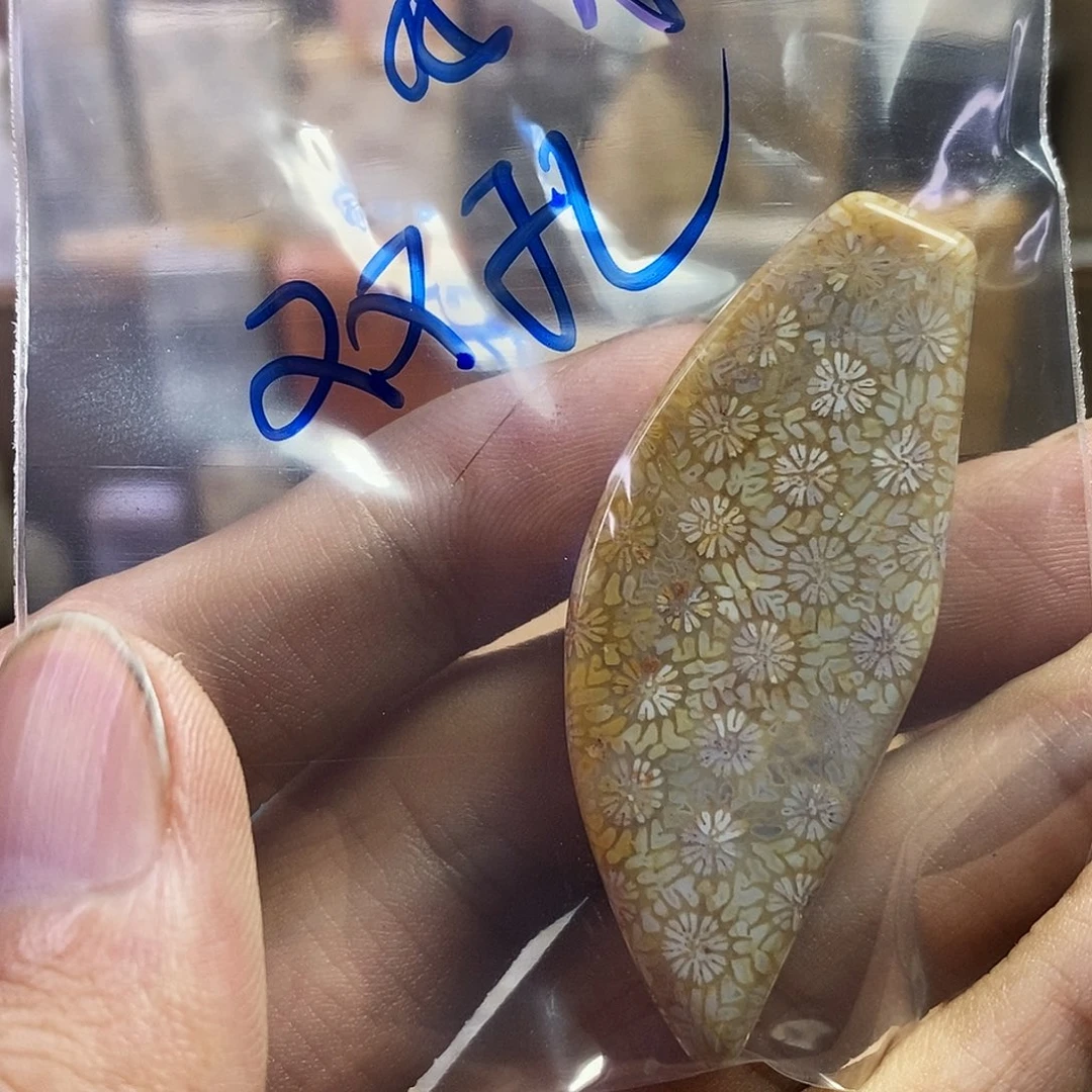 硅化珊瑚（珊瑚玉）吊坠未镶嵌我***袄