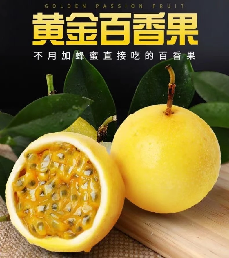 广西钦蜜9号百香果新鲜现摘当季水果鲜甜多汁营养丰富