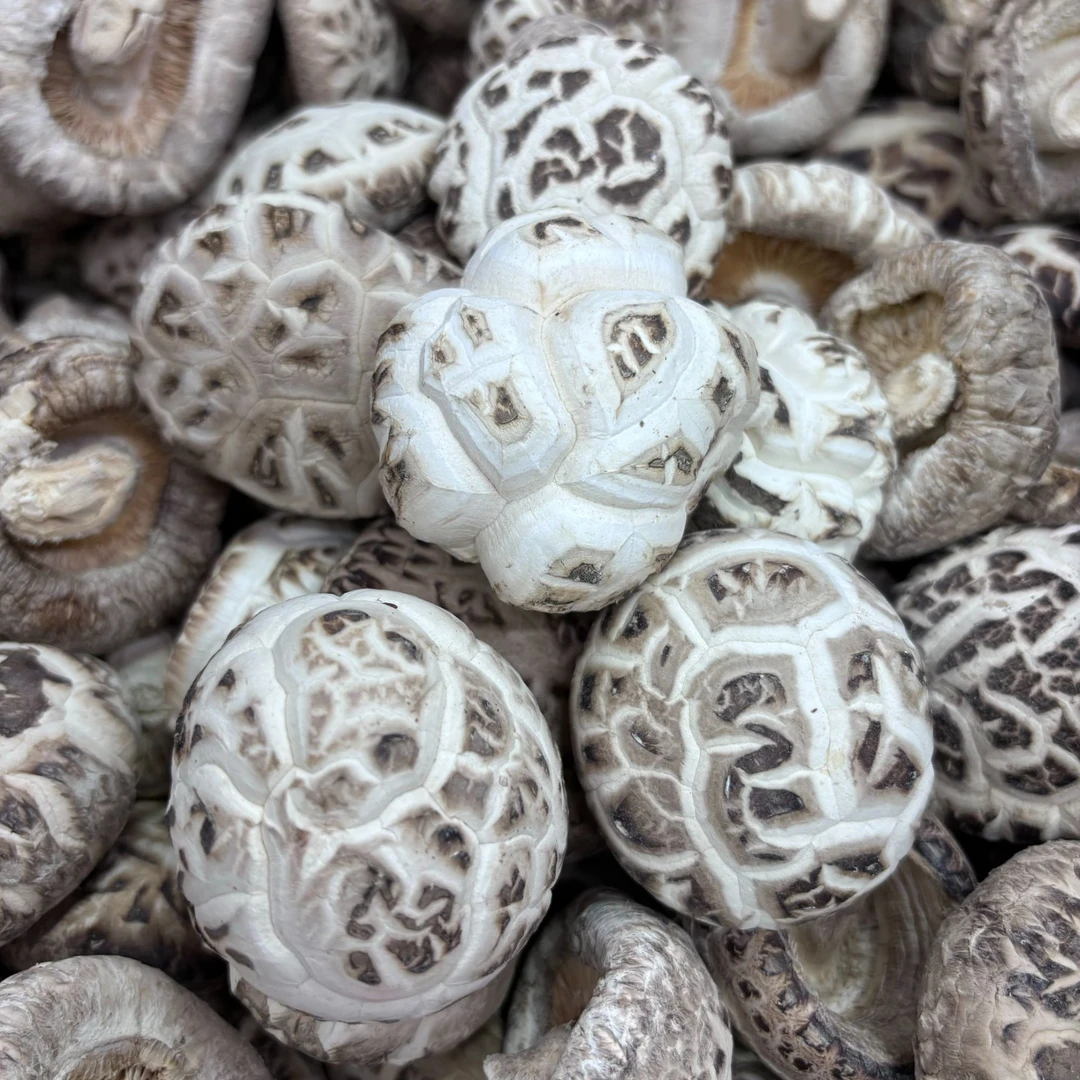 原木花菇  好香好正 大只