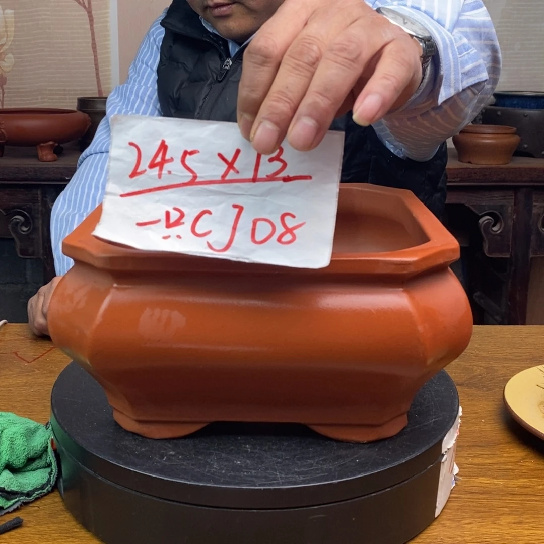 红陶货号一只CJ08