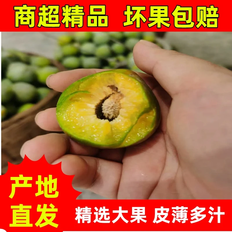 巴东万流空心脆李京东、顺丰包邮