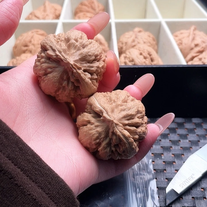 远***…霸王龙核桃尺寸41