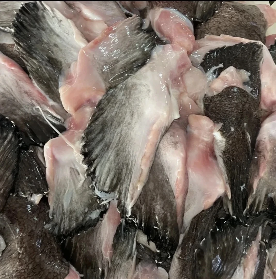 大连野生安康鱼翅膀4斤顺丰包邮