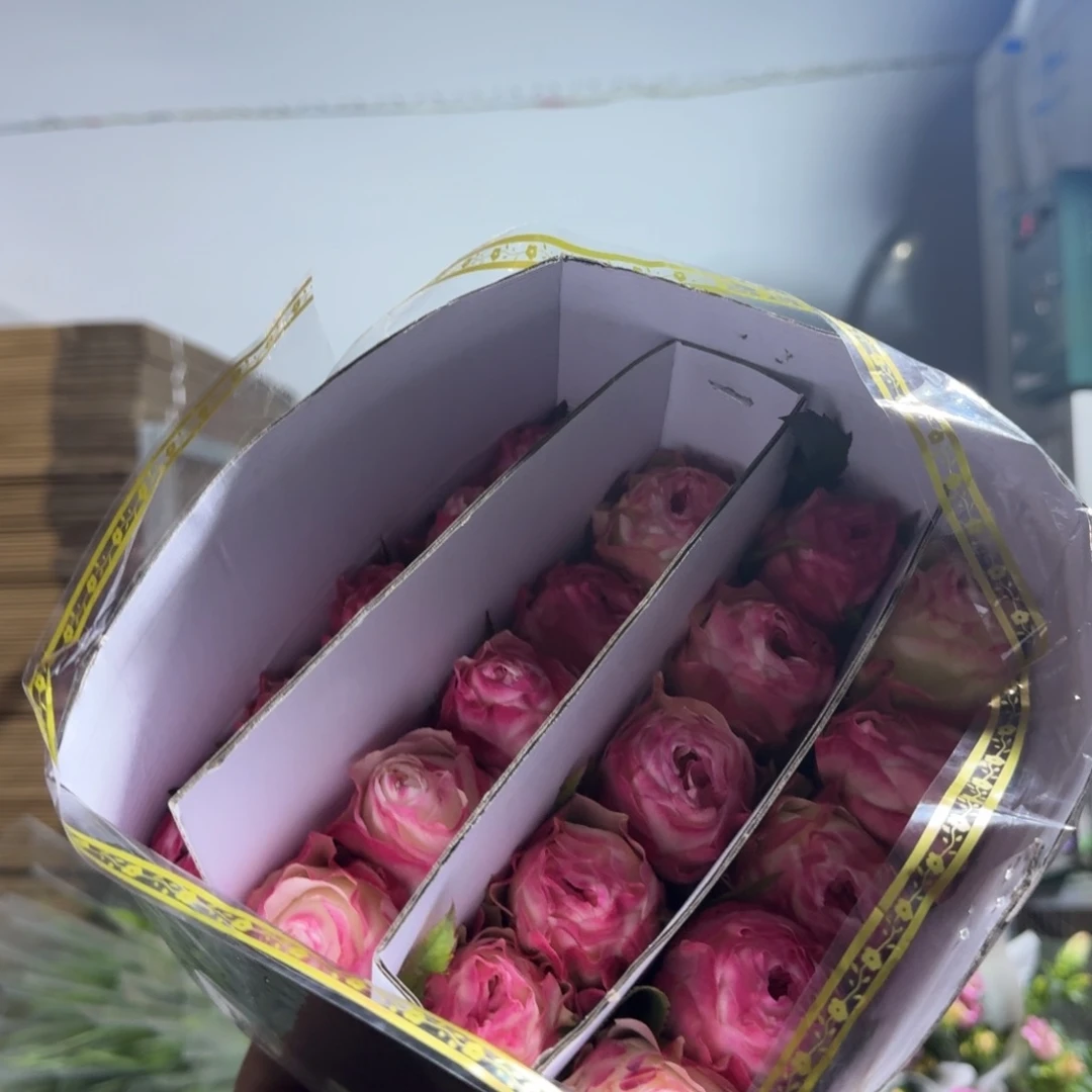 粉玫1扎。