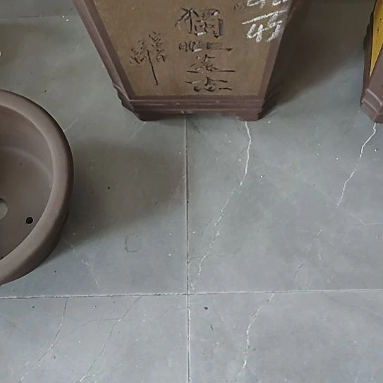 紫砂花盆宜兴花盆