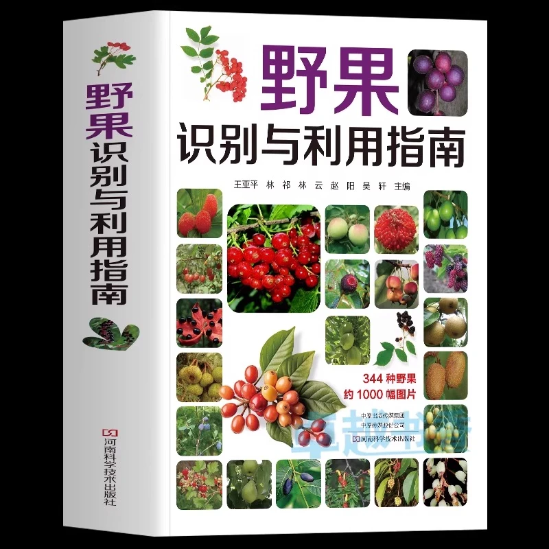 野果识别与利用指南 植物野菜图鉴常见野果名称品种要点食用部位