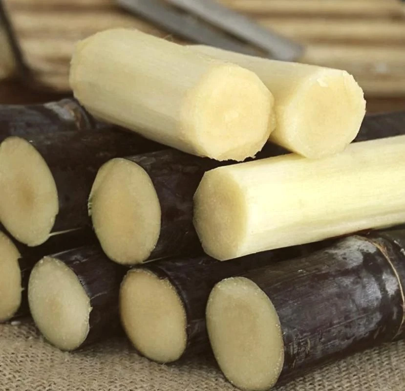 A广西黑皮甘蔗新鲜现砍当季水果脆甜多汁可榨汁