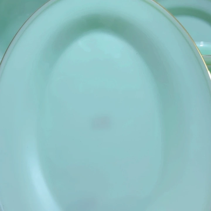 瓷景德镇陶瓷12寸鱼盘1个